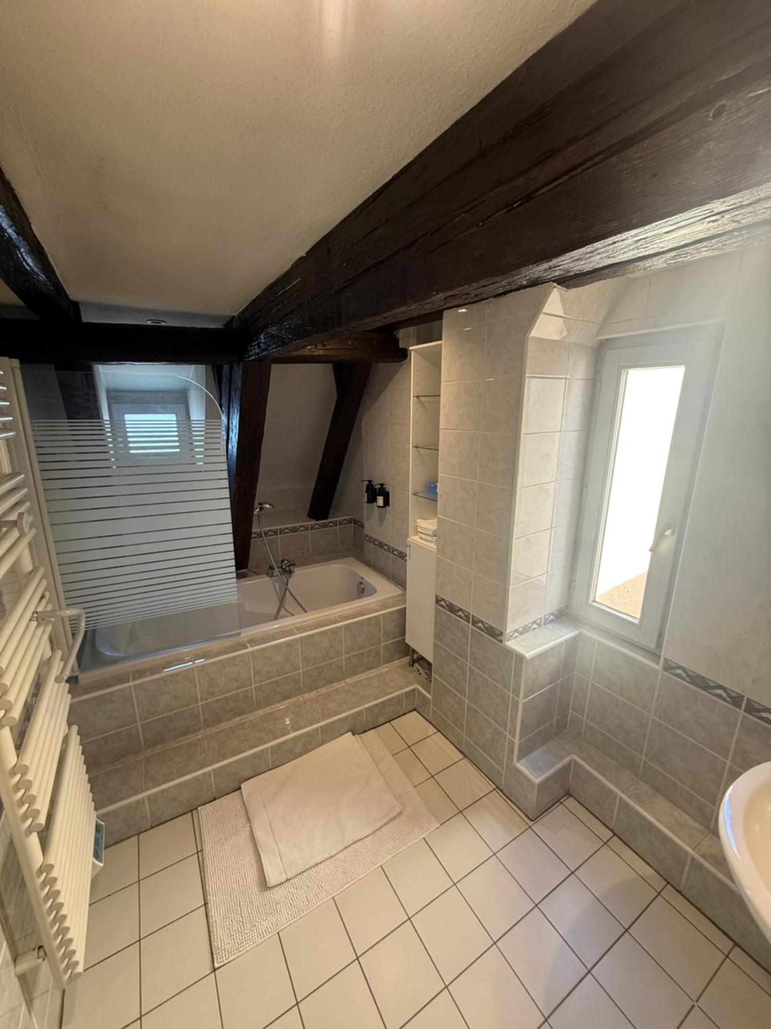 Duplex Le Leonor Strasbourg